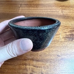 鉢⑥