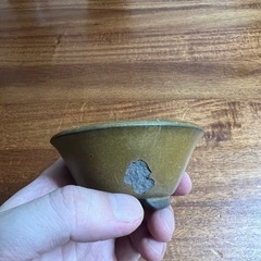 鉢⑦の画像