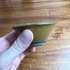 鉢⑦の画像