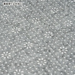 アンダーソフトラグの画像