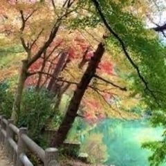 再度山ハイキング行きませんか？
