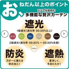 ニトリ>カーテン>ノーブル3｜遮光1級・遮熱・防炎の画像