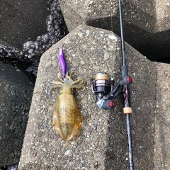 平日の釣り仲間募集🎣