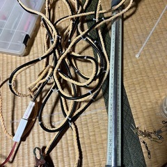 集魚灯緑
