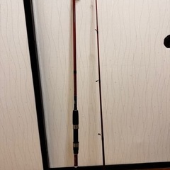 ショアジギングRodの画像