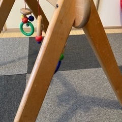 ムジーナ　セレクタ 社の画像