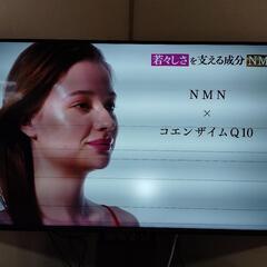 アイリスオーヤマ　4K対応液晶テレビ　ジャンク（画面に横線）LT...