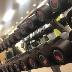 筋トレ仲間募集💪