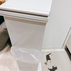 ニトリ　二段式ゴミ箱