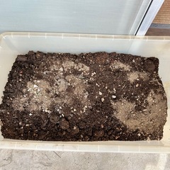 土（園芸、花、植木、植物）の画像