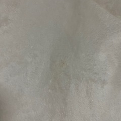 【新品⚜️】しまむら バックパールボタン付きフリースプルオーバー 長袖 白 ホワイト 4L 3XLの画像