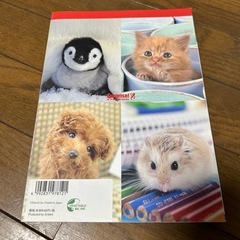 まるひわ 写真集の画像