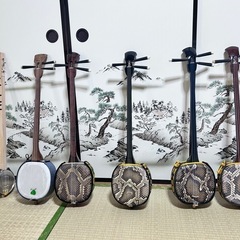 三線一緒に弾いて見ませんか？