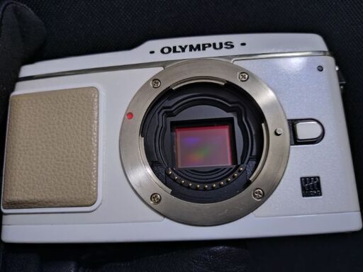 並品　OLYMPUS PEN E-P1