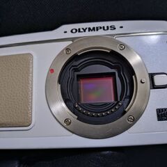 並品　OLYMPUS PEN E-P1