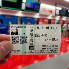 現地観戦しませんか〜？東京競馬場11月の土曜日・日曜日⭐︎ − 東京都