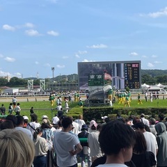 現地観戦しませんか〜？東京競馬場11月の土曜日・日曜日⭐︎ - メンバー募集