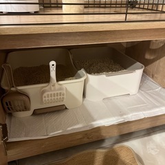 【お渡し決まりました】キャットゲージ他、お世話グッズ一式の画像