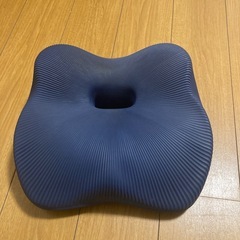 スタイル　骨盤矯正クッション