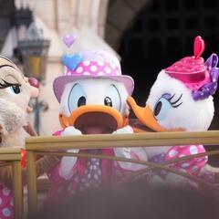 11/6ディズニー🏰🌊　今年最後のＤハロ！Ｄクリ！ - 古河市