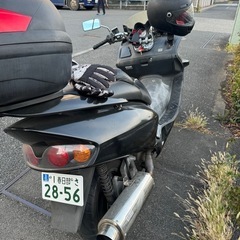 mf06フォルツァの画像