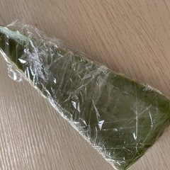 アロエの葉1枚