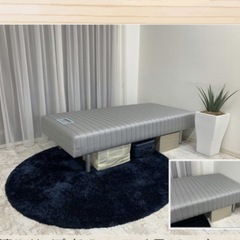 ◇フランスベッド◇脚付きマットレス◇セミダブルM◇