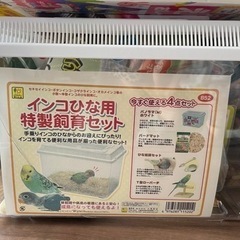 ヒナ飼育セット新品