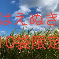 令和6年▲新米！はえぬき！玄米30kg！限定10袋！