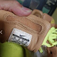 ＮＩＫＥ•スニーカーの画像
