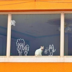 アニメや絵を描くのが好きな人と友達になりたいですm(_ _)m − 沖縄県