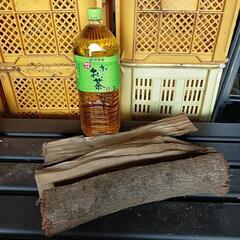針葉樹薪（イヌマキ）の画像