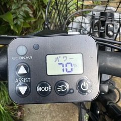 ベロスター 黒の画像