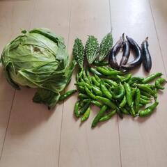 お話し中【訳あり】野菜4種