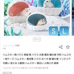 ハムスター貝殻ハウス