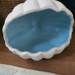 ハムスター貝殻ハウスの画像