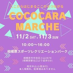 11/3㈰マルシェでメダカ掬い