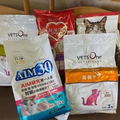 キャットフード　餌　訳あり　5袋