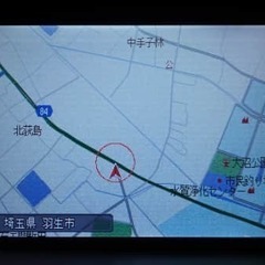 薬が効いてきましたの画像