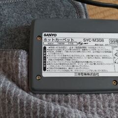 SANYO 三畳用カーペットの画像