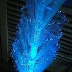 クリスマスツリー　イルミネーション　ツリーの画像