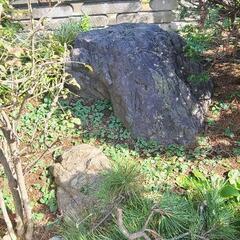 庭石の画像