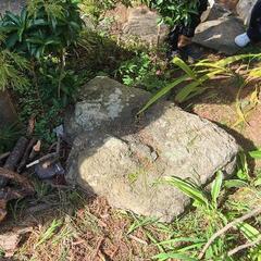 庭石の画像