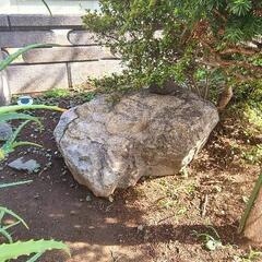庭石の画像