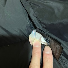 ノースフェイス　ヌプシ700fillの画像