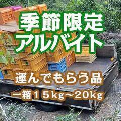 【季節限定アルバイト】みかんの運搬のお手伝いを募集致します。の画像