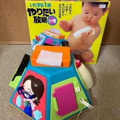 早期終了いたずら一歳やりたい放題！大人気！の画像