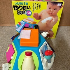 早期終了いたずら一歳やりたい放題！大人気！の画像