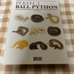【絶版本】PERFECT BALL PYTHON パーフェクト　...