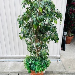 人口観葉植物　造花　インテリア